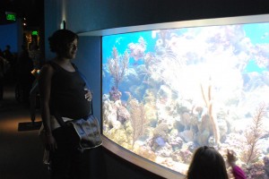 Looking in at the aquarium